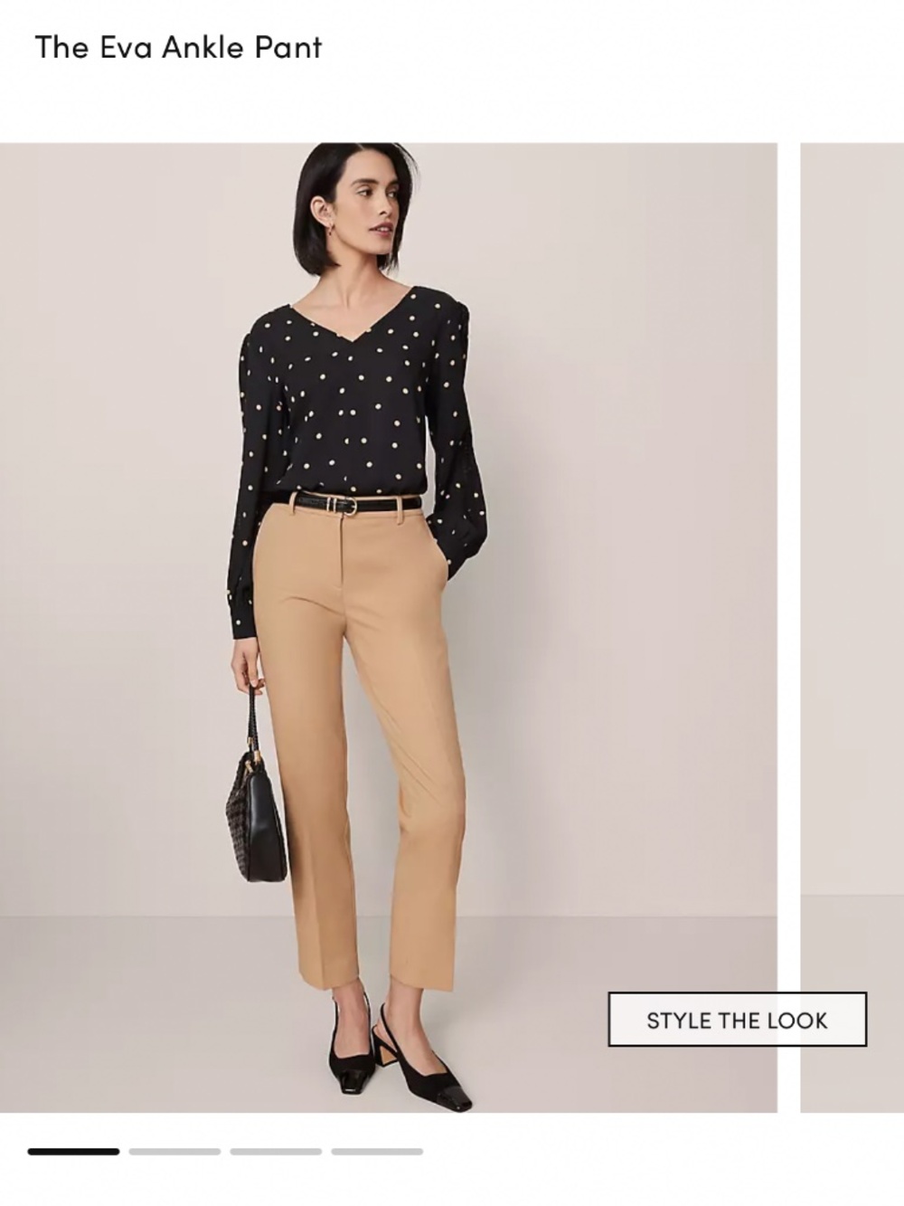 Ann Taylor Eva Pant